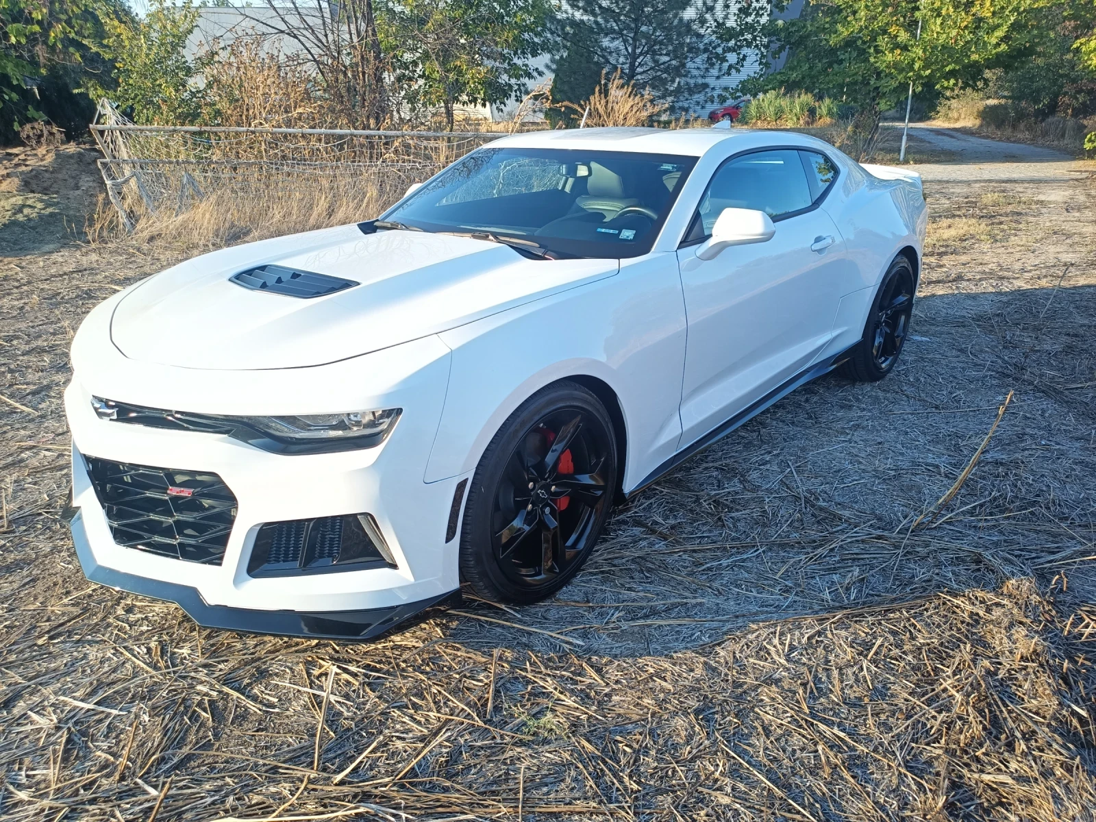 Chevrolet Camaro ss - изображение 5