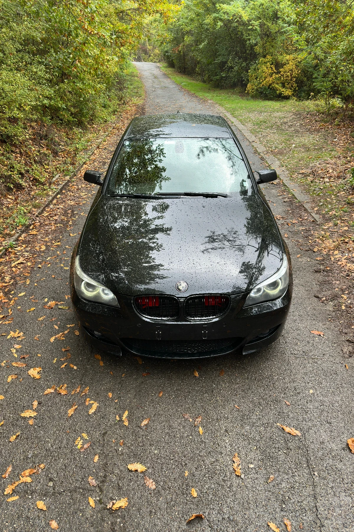 BMW 530 218hp 6hp28 Comfort Saloon  - изображение 6