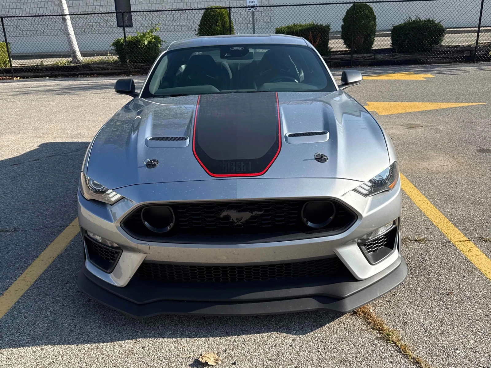 Ford Mustang Mach 1 * * CARFAX * * АВТО КРЕДИТ * *  - изображение 3