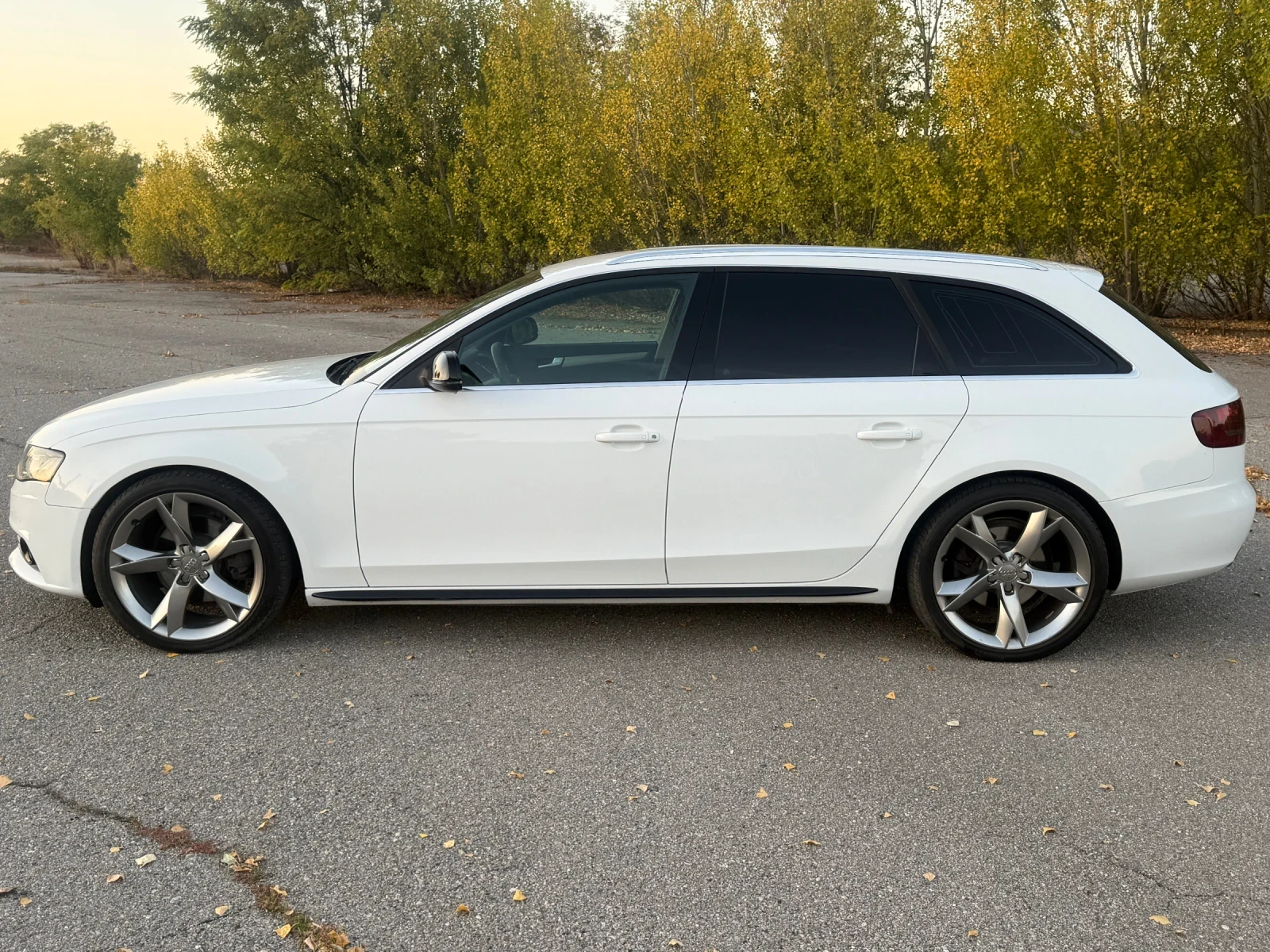 Audi A4 2.0TDI 4x4, снимка 4 - Автомобили и джипове - 56262195