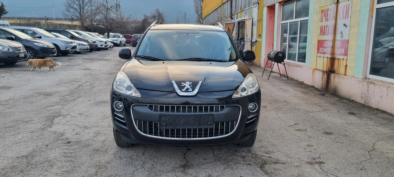 Peugeot 4007 2.2 HDI FULL - изображение 2