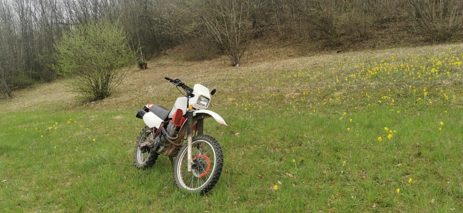 Yamaha Xt, снимка 2 - Мотоциклети и мототехника - 54208160