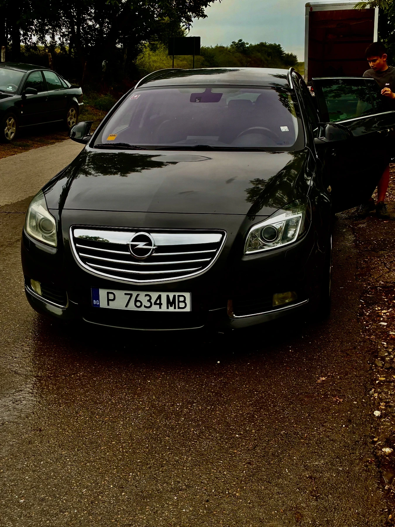 Opel Insignia, снимка 16 - Автомобили и джипове - 54803768