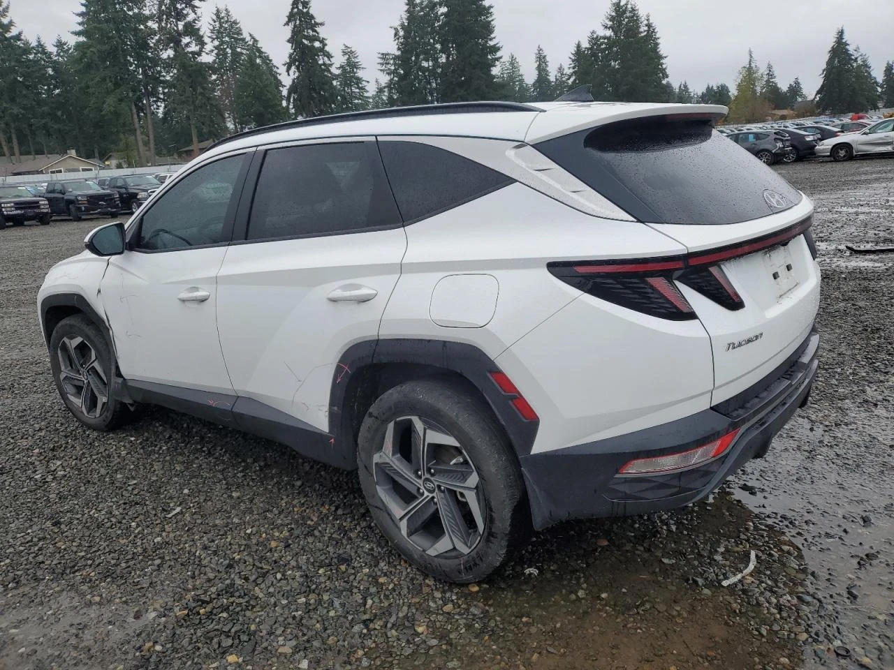 Hyundai Tucson SEL*  - изображение 6