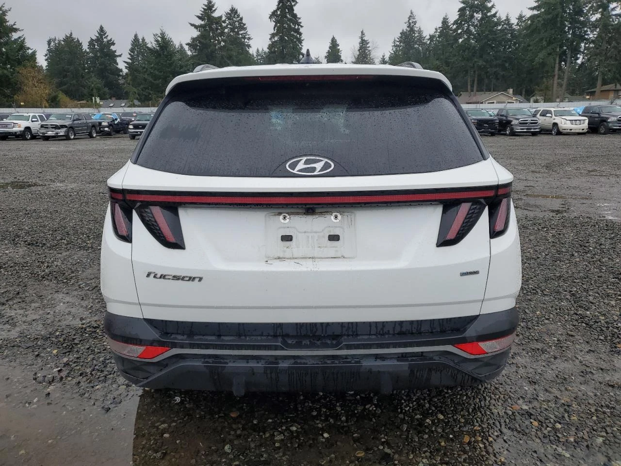 Hyundai Tucson SEL*  - изображение 5