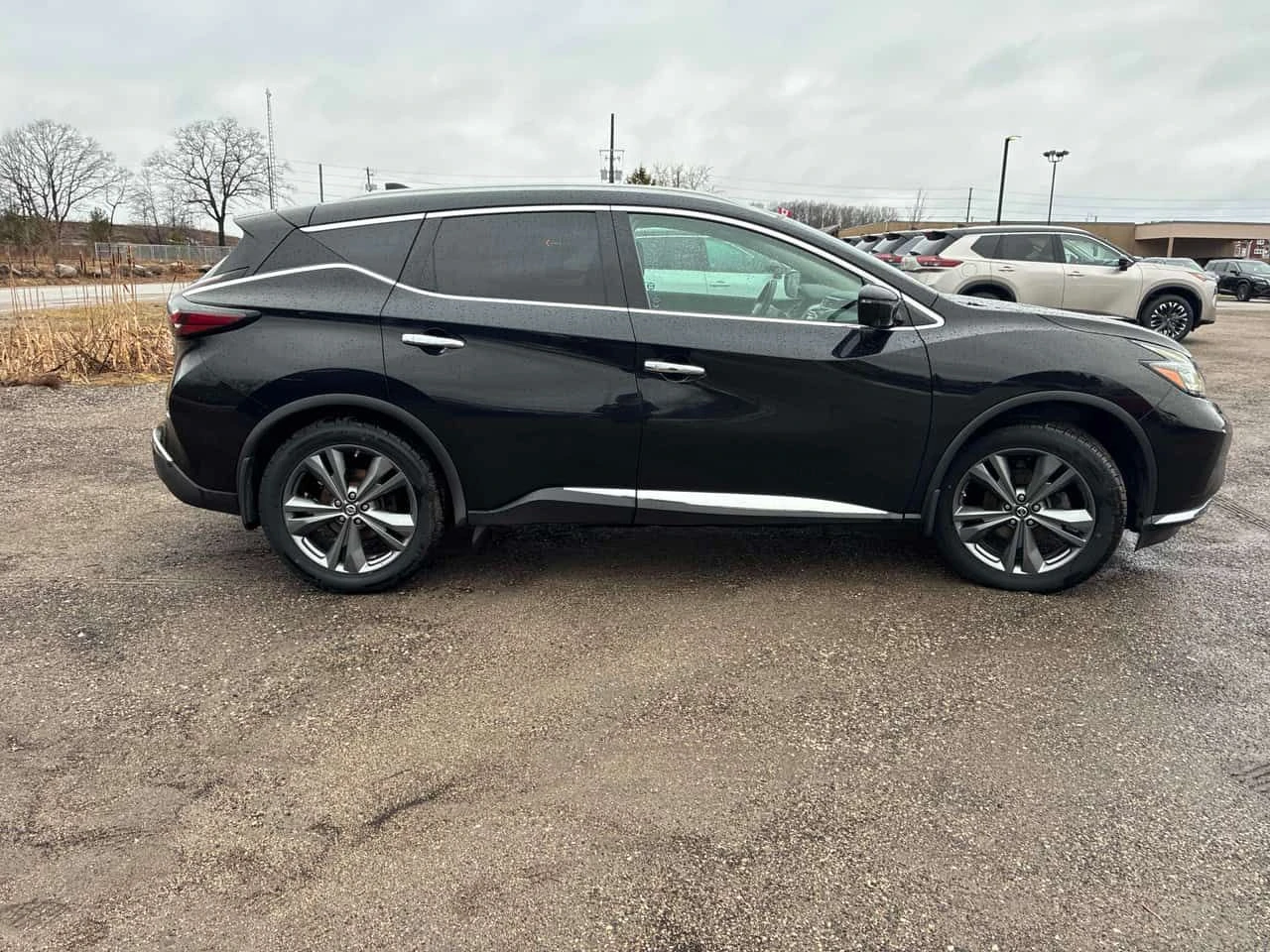 Nissan Murano * AWD Platinum * �������� * ���� �� ������ *  | Mobile.bg � ����������� 3