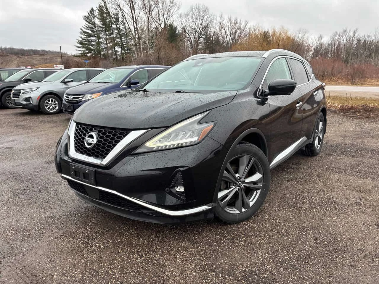 Nissan Murano * AWD Platinum * �������� * ���� �� ������ *  | Mobile.bg � ����������� 1