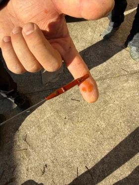 Kia Seltos Kia Seltos 2.0 MPI 4X4, снимка 11