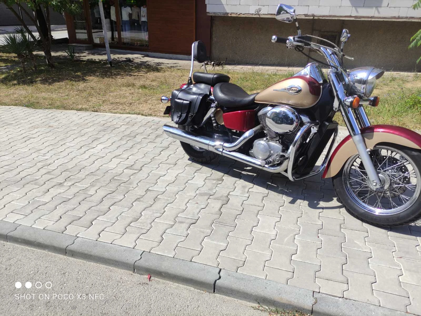 Honda Shadow VT750ACE - изображение 7