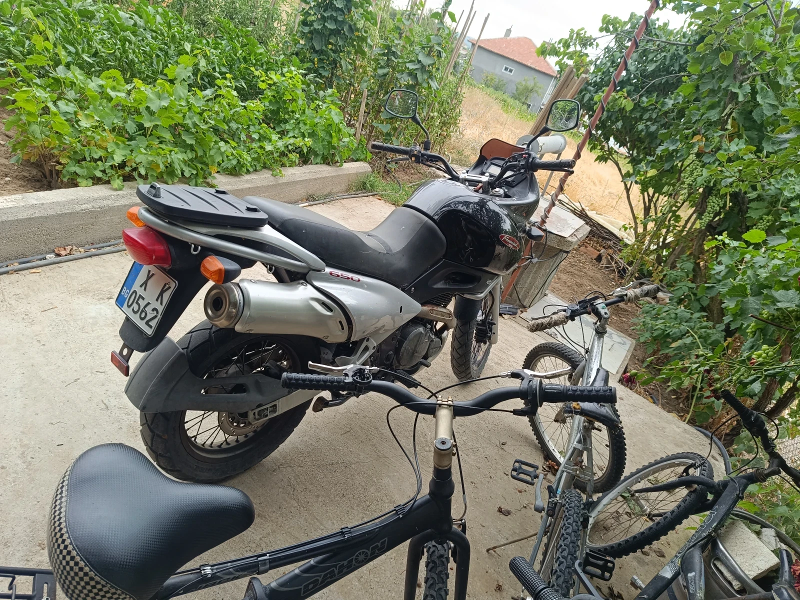 Suzuki XF  - изображение 4