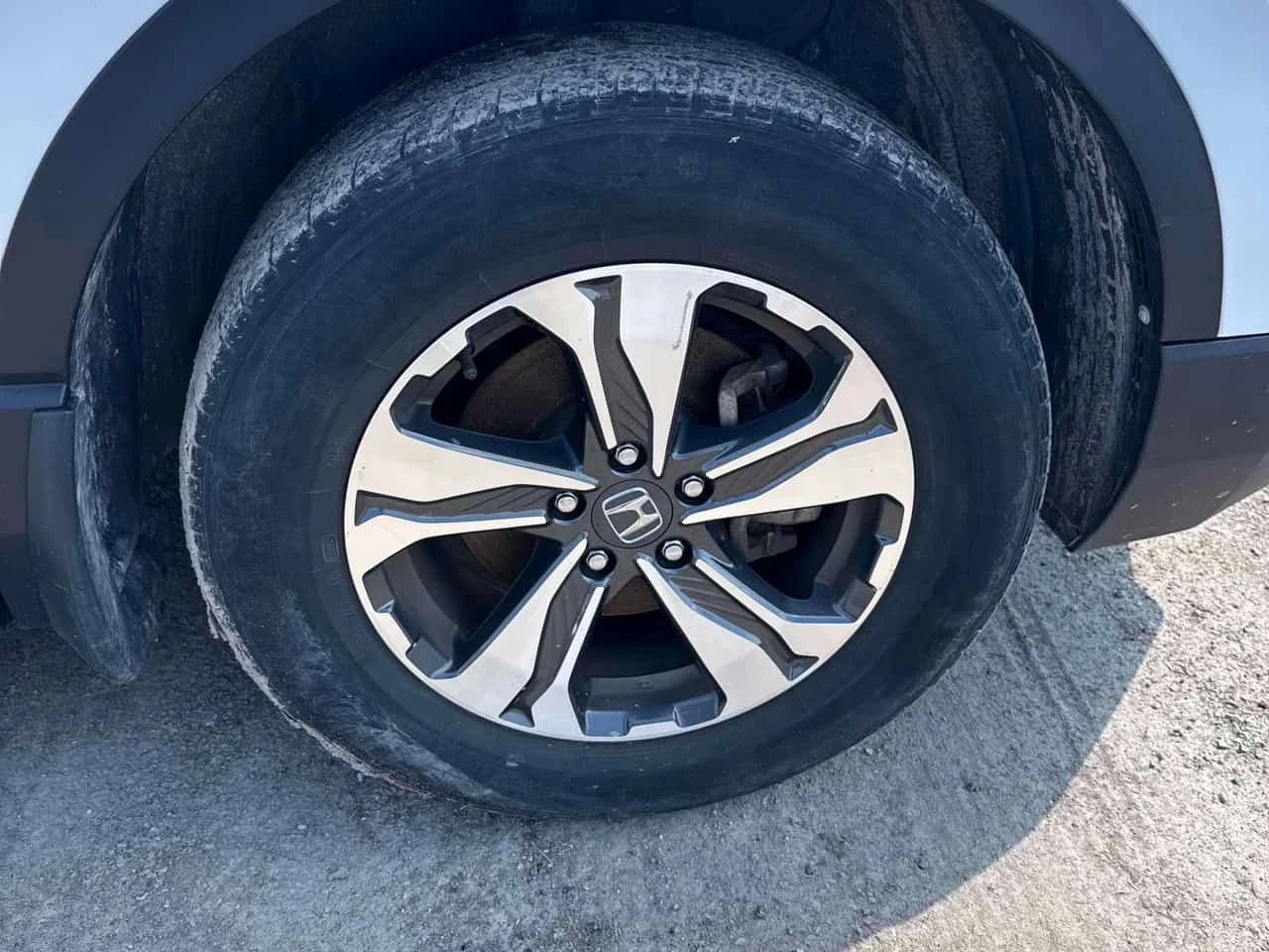 Honda Cr-v LX/ДИСТРОНИК/ПОДГРЕВИ, снимка 6 - Автомобили и джипове - 54291830