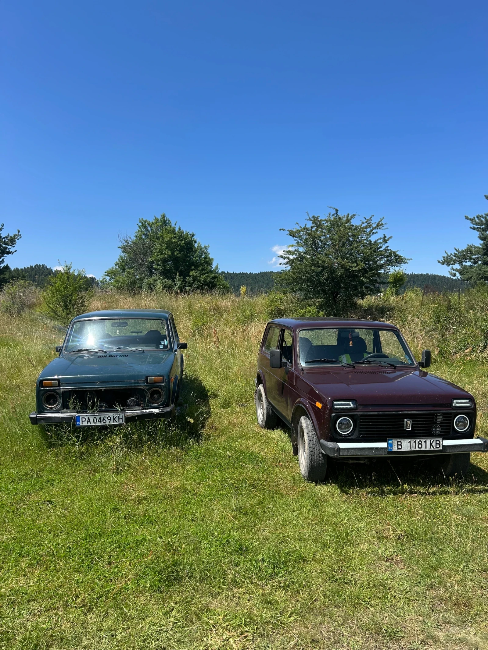 Lada Niva, снимка 2 - Автомобили и джипове - 55331978