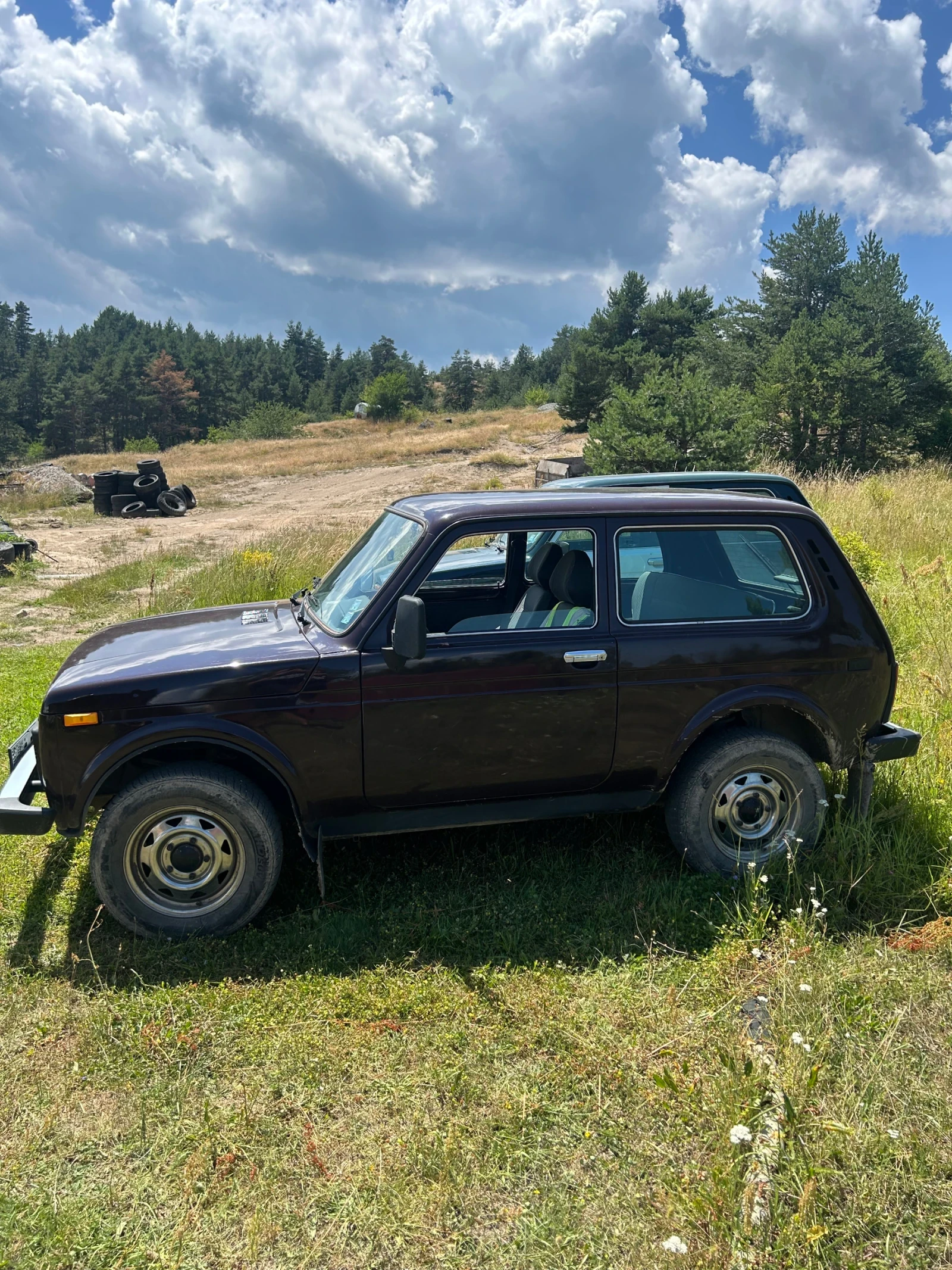 Lada Niva, снимка 3 - Автомобили и джипове - 55331978