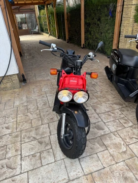Honda Zoomer | Mobile.bg    3