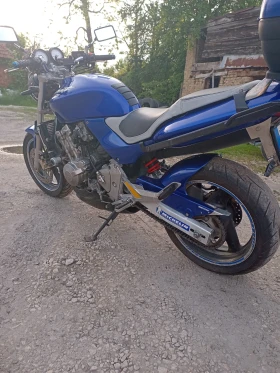Honda Hornet | Mobile.bg � ����� ������ 5