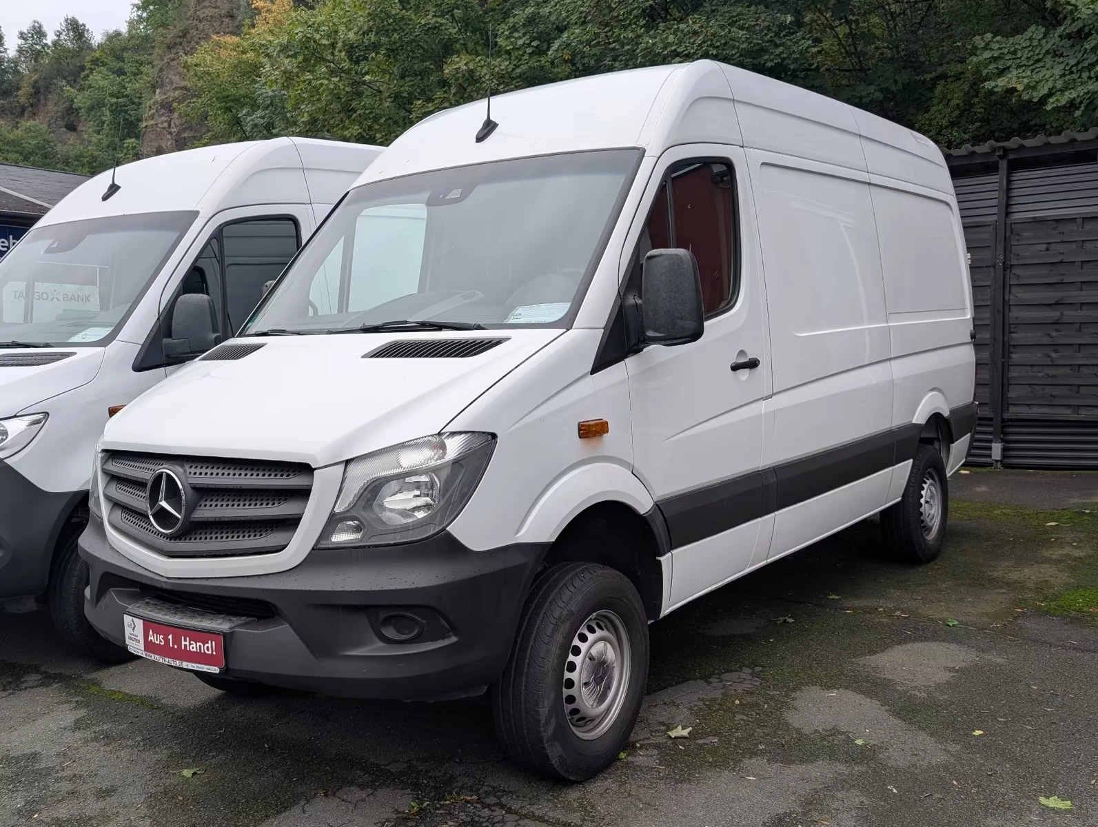 Mercedes-Benz Sprinter 316 CDI 4x4, снимка 2 - Бусове и автобуси - 54667071